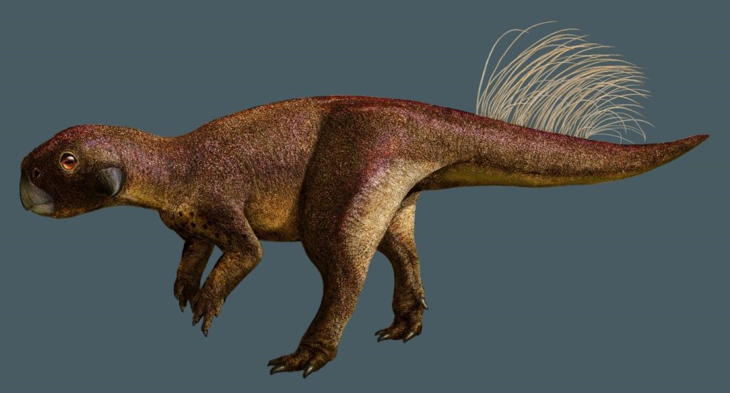 Early Cretaceous horned dinosaur Psittacosaurus 