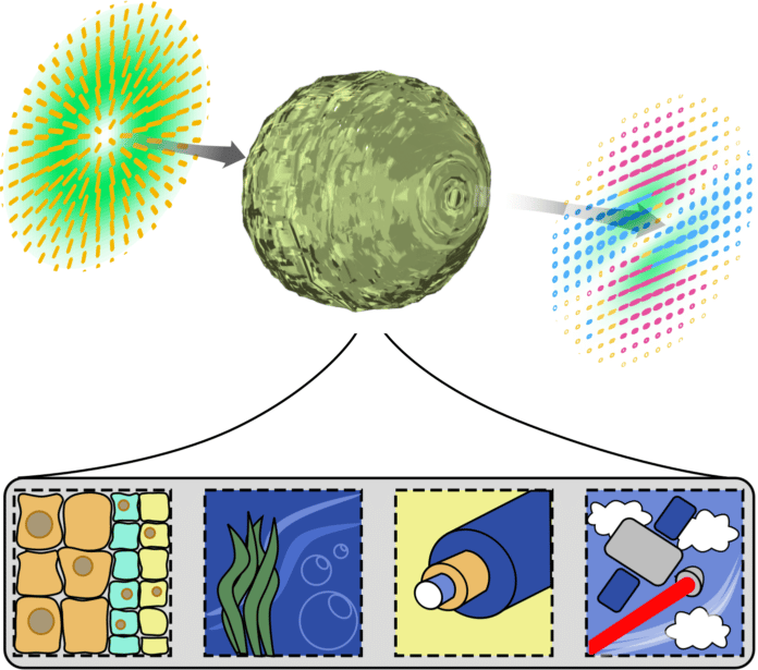 An artistic impression of complex vectorial light passing through some distorting complex media and becoming altered in some way. The pattern of the light depicts the polarisation state. The complex media shown in the insets includes living tissue, under-water, optical fibre and transmission through the atmosphere.