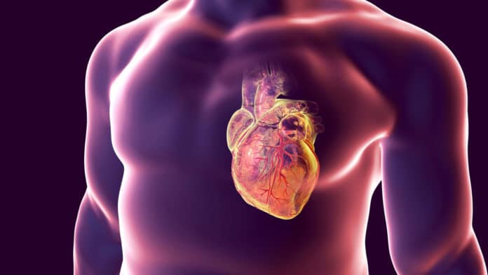 Image showing human heart