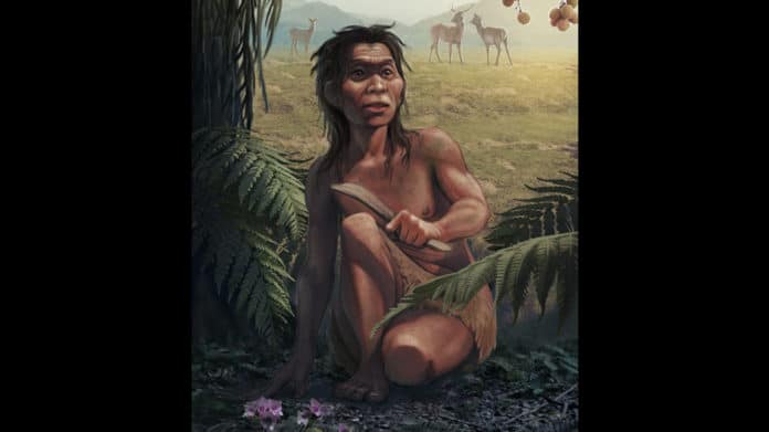 The reproduced portrait of the Red Deer Cave People or Mengziren