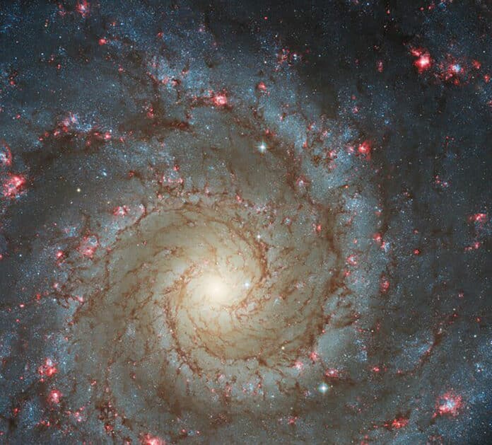 spiral galaxy M74