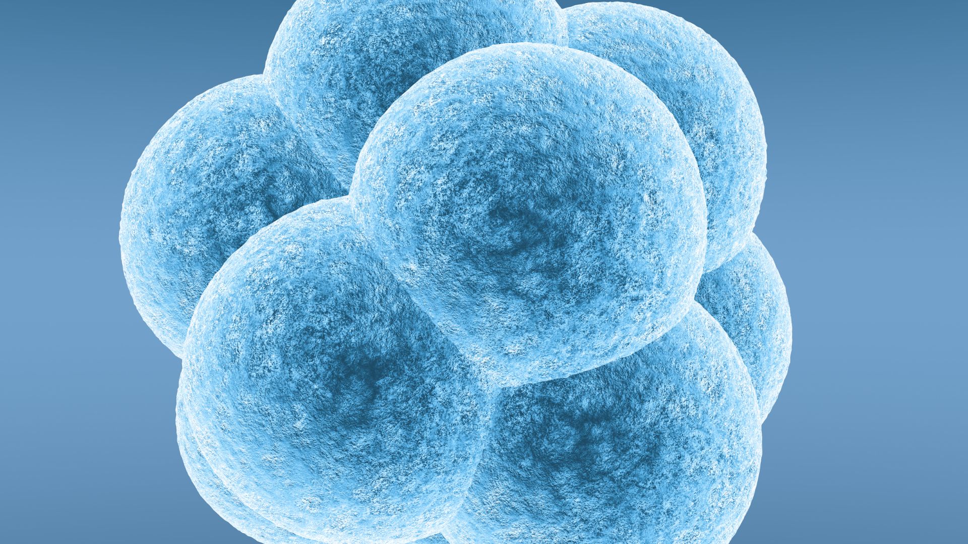 World’s first synthetic embryo created without sperm