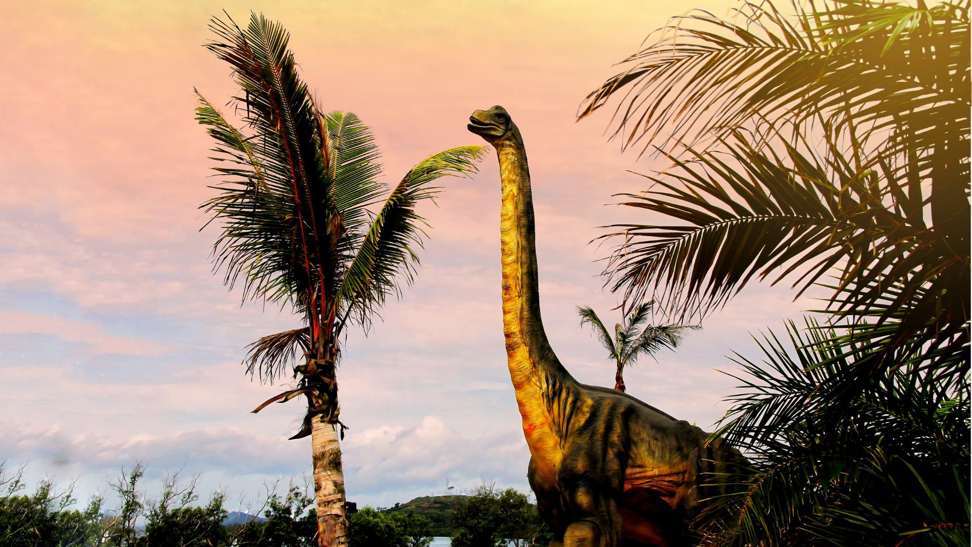 Image showing Sauropod