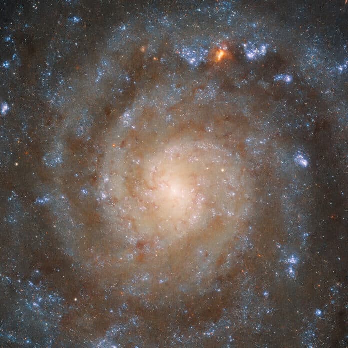 Big Picture of a Complex Galaxy