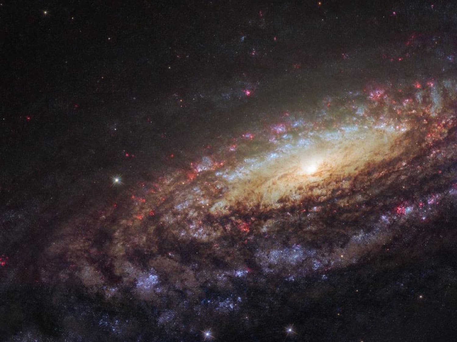 Hubble captured a big, beautiful spiral galaxy 