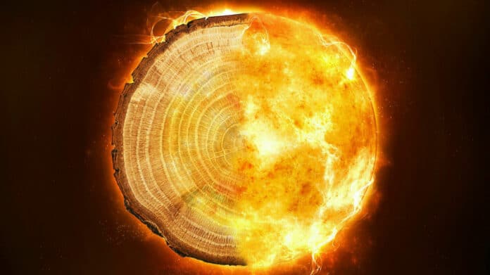 tree ring and flames
