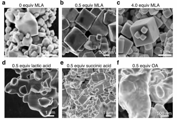 Electron microscope images of experimental samples