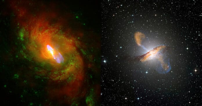 diversity of black hole jets