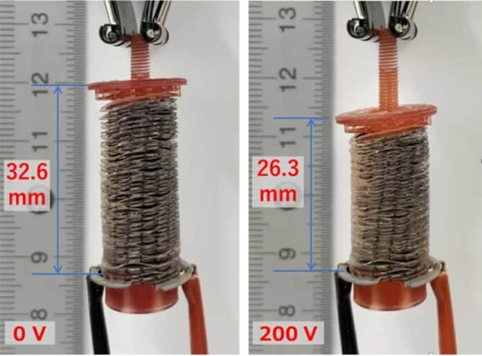 double-helical coil electrode