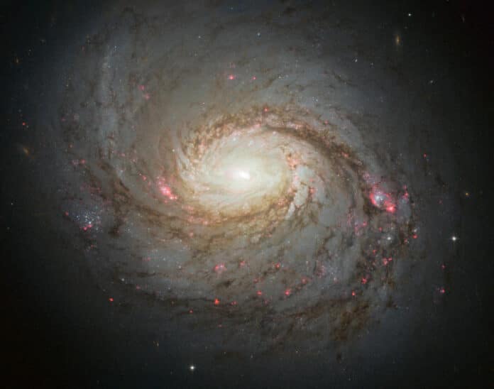 spiral galaxy NGC 1068
