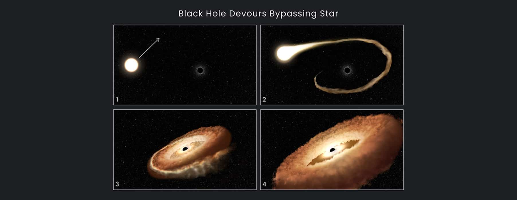 Hubble ha registrado en detalle los momentos finales de la estrella mientras es devorada por un agujero negro.