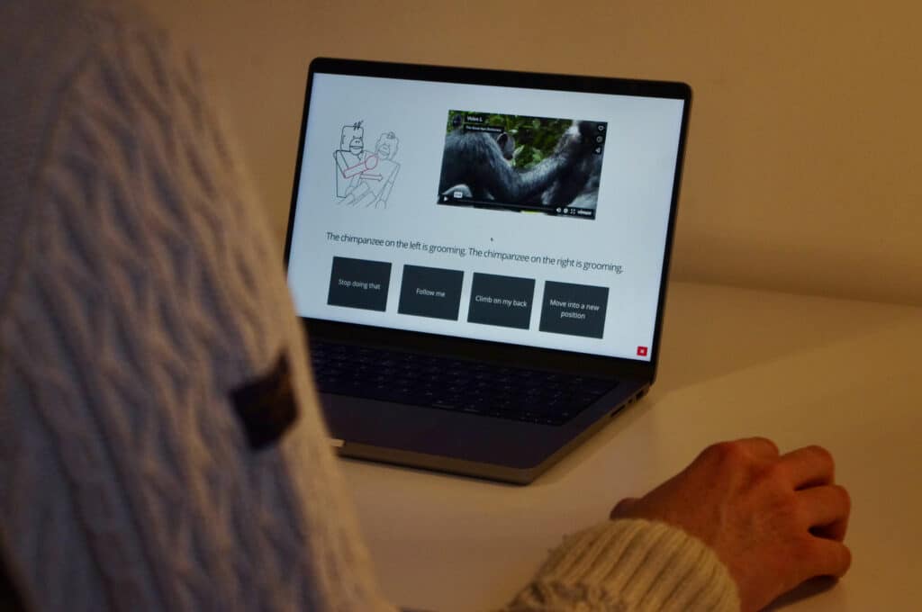 The online experiment could be completed on a laptop or tablet. A little cartoon showed participants what gesture they were looking for in the video and half of participants were told what the apes were doing.