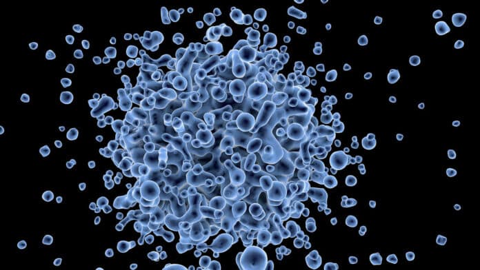Image showing Cells