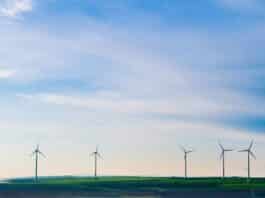 Image showing wind mills.