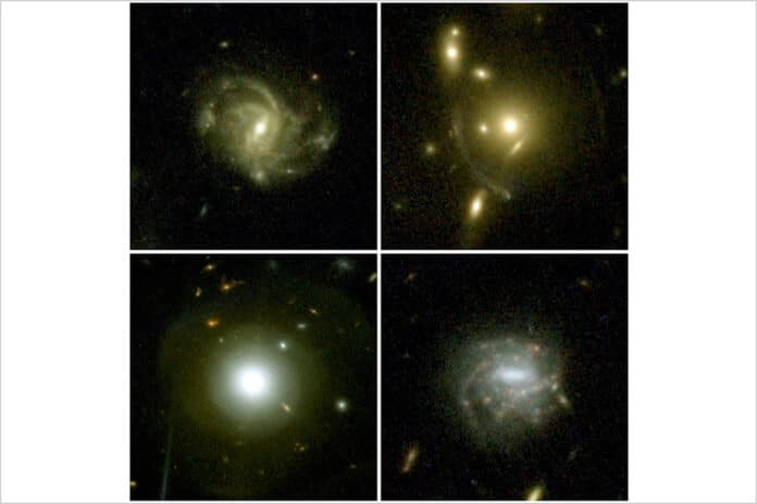 Images of four example galaxies selected from the first epoch of COSMOS-Web NIRCam observations, highlighting the range of structures that can be seen. In the upper left is a barred spiral galaxy; in the upper right is an example of a gravitational lens, where the mass of the central galaxy is causing the light from a distant galaxy to be stretched into arcs; on the lower left is nearby galaxy displaying shells of material, suggesting it merged with another galaxy in its past; on the lower right is a barred spiral galaxy with several clumps of active star formation. Image credit: COSMOS-Web/Kartaltepe, Casey, Franco, Larson, et al./RIT/UT Austin/IAP/CANDIDE