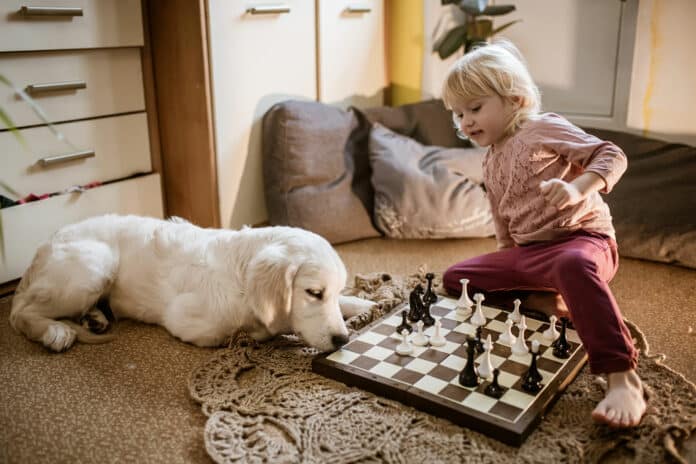 A girl with her dog play chess at home. Games for children and pets