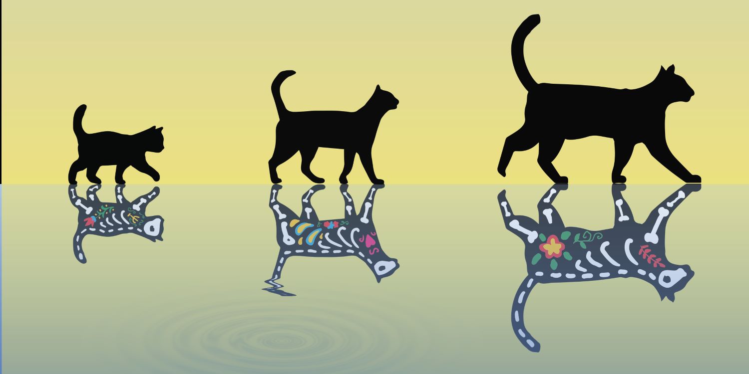 Scientists created the heaviest Schrödinger cat to date thumbnail