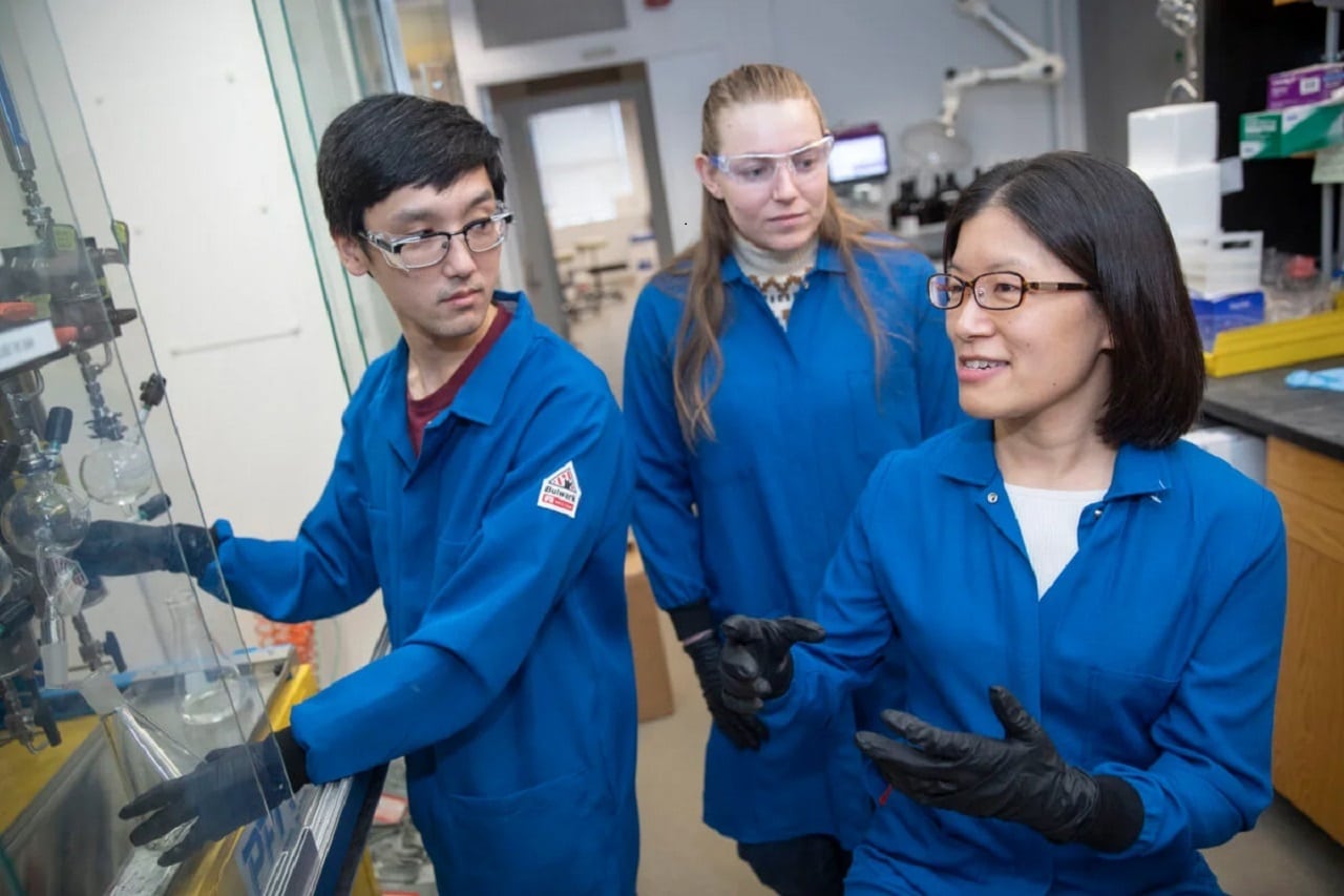 Image showing Research assistants and Nicole Curnutt work with Associate Professor Christina Woo to create protein-degradation strategies.