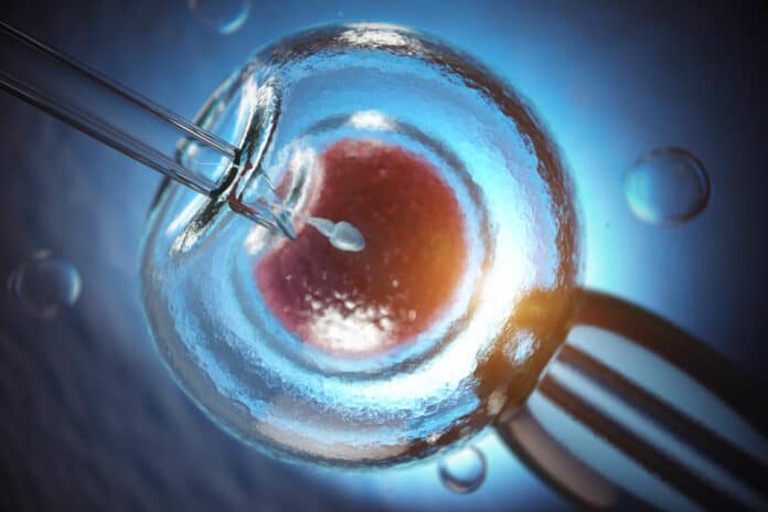 Image showing IVF treatment