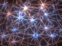 Neurons Electrical Pulses