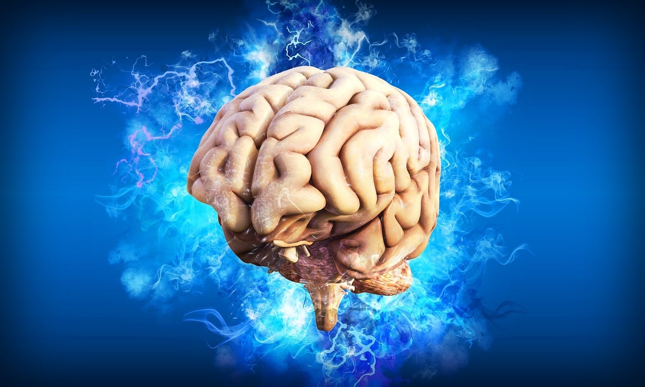 Image showing brain.