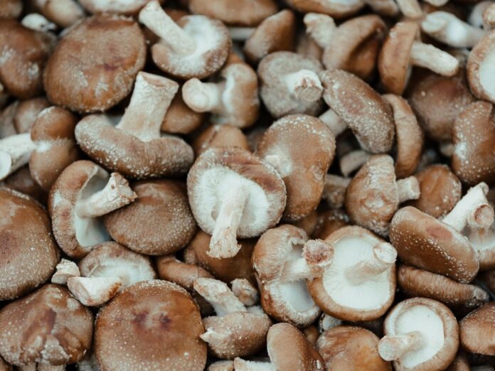 Image showing Mushrooms.