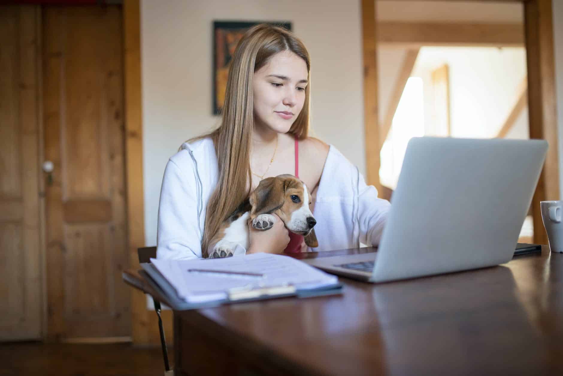 a woman using a laptop with a dog on her lap