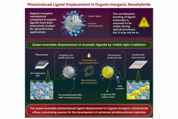Ligand-Nanocrystal interactions