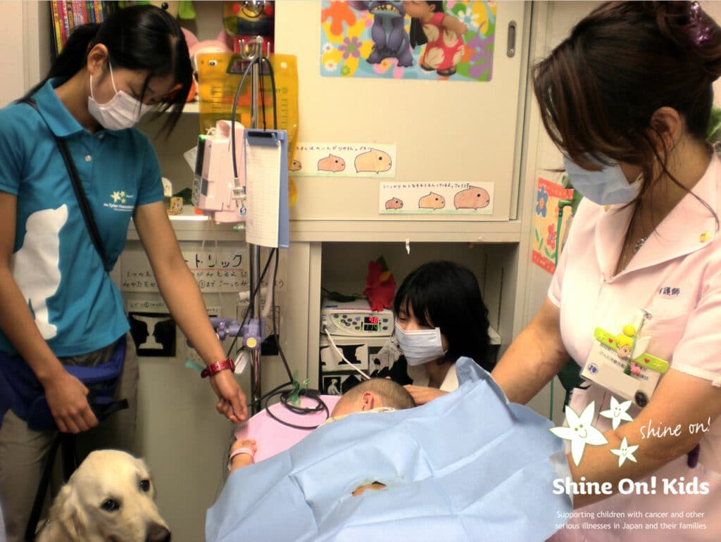 Photo of Bailey, Yogi's predecessor and the first facility dog in Japan. Accompanying a patient for a bone marrow puncture with a nurse and child life specialist in the treatment room at Shizuoka Children's Hospital.