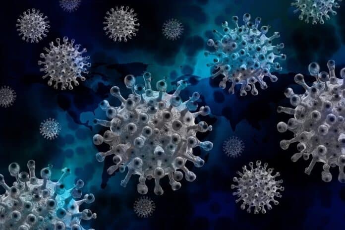 Image showing corona virus.
