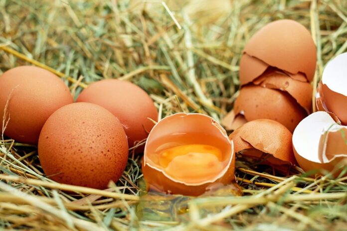 Image showing chicken eggs.