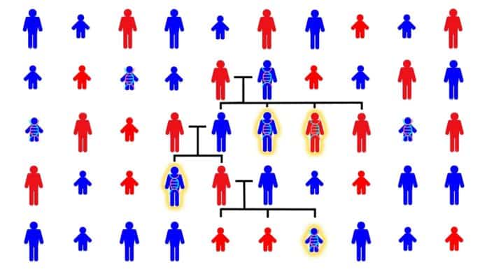 genetic causes of autism spectrum disorder