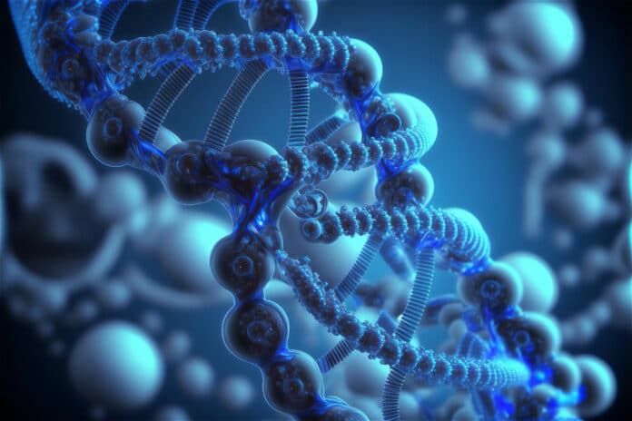 Image showing Human DNA