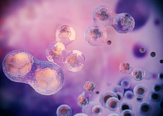 Image showing stem cell.