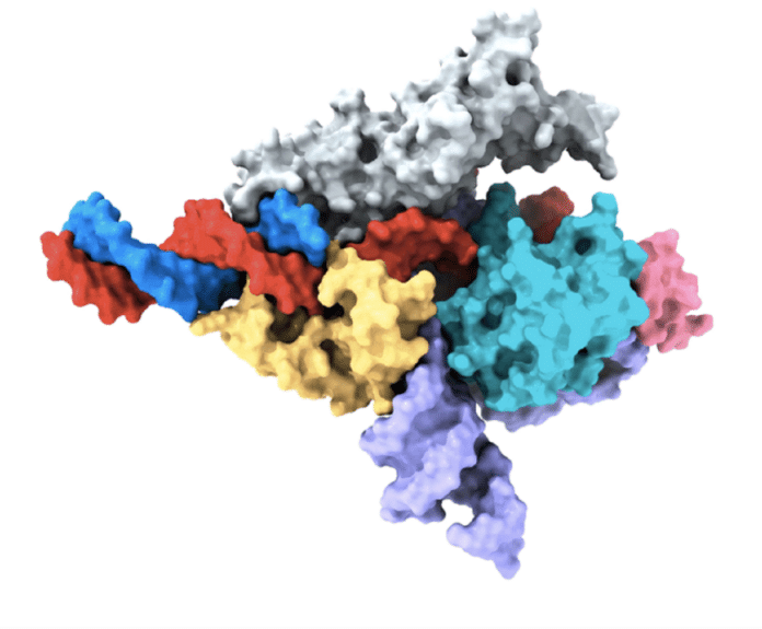 Image showing Pictured is a Cryo-EM map of a Fanzor protein.