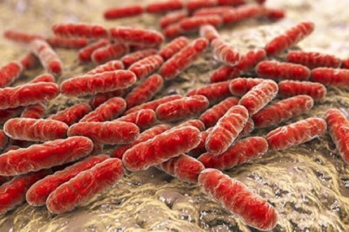 Image showing Probiotic bacteria.
