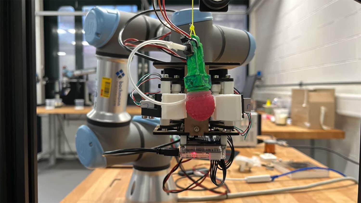 Silicone raspberry used to train harvesting robots.