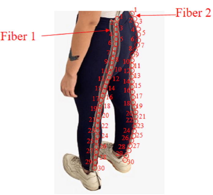 Image showing smart pants.