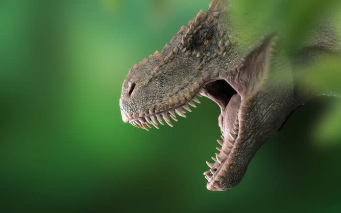 Image showing dinosaur