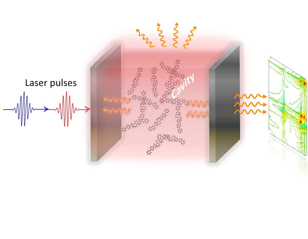 Sebuah teori kuantum baru menjelaskan “fase yang diinduksi cahaya” dari materi