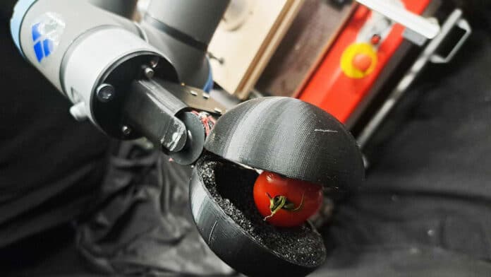robotic tomato harvestor