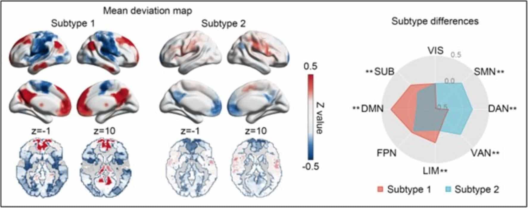 Image showing Brain imaging maps.
