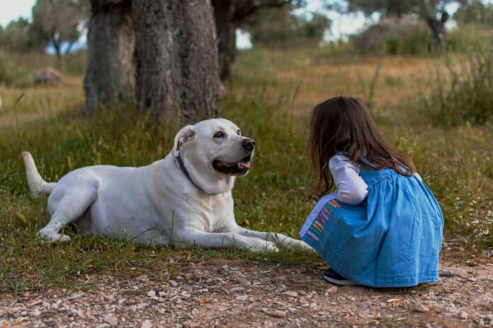 Dog and girl outdoors