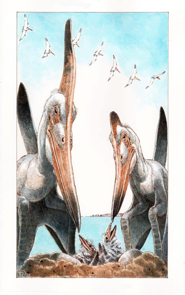 large-bodied pterosaurs