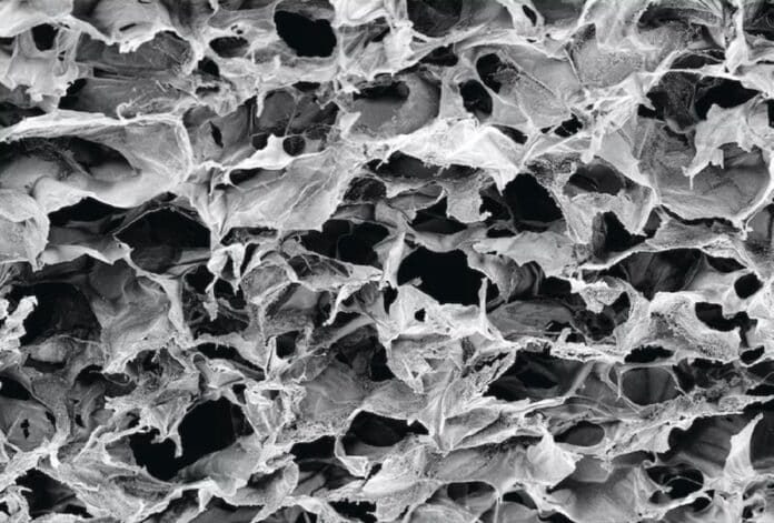 Image showing cell-permeable porous.
