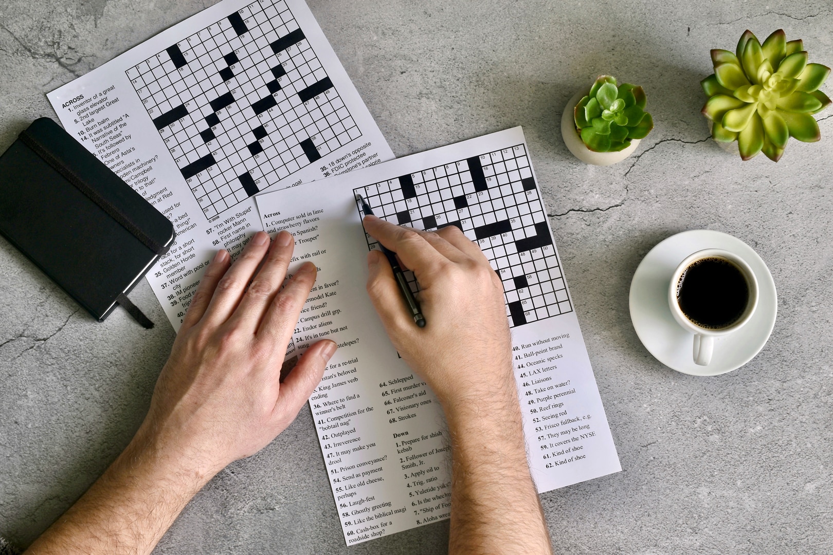 Crosswords and Chess May Help in Avoiding Dementia