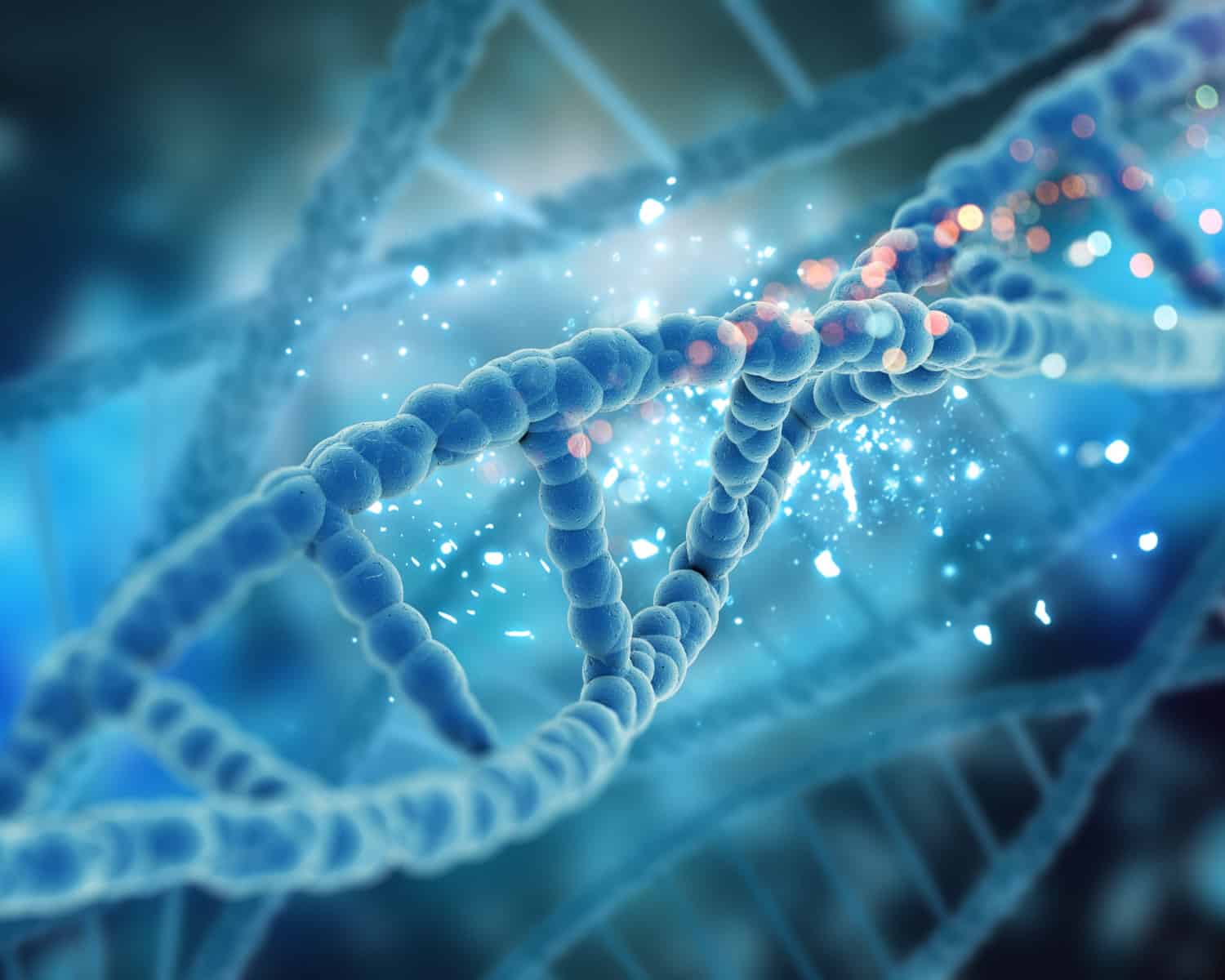 Image showing DNA