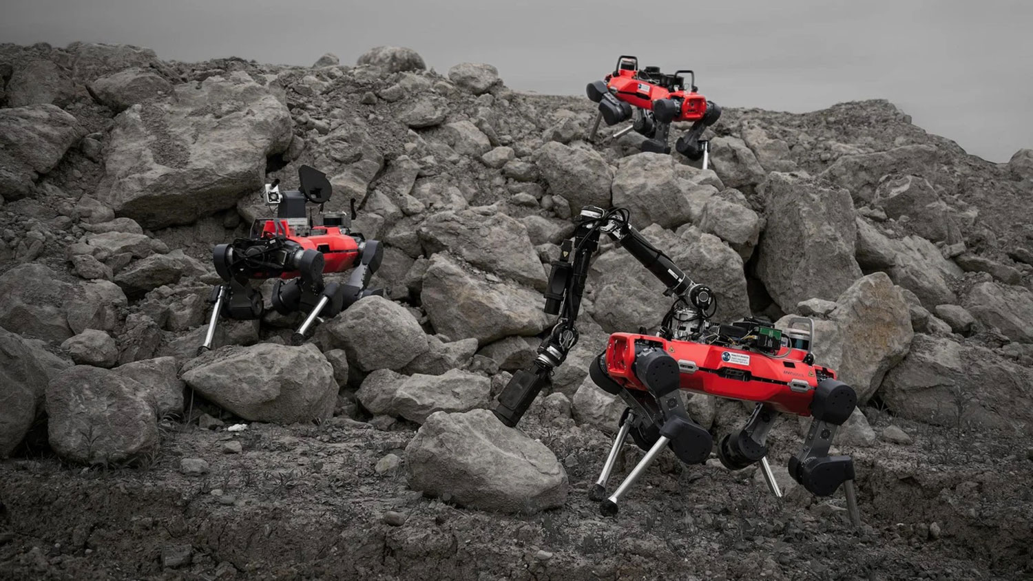 The trio of legged robots during a test in a Swiss gravel quarry.
