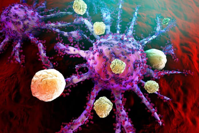 Image showing t-cells of the immune system attacking growing cancer cells.