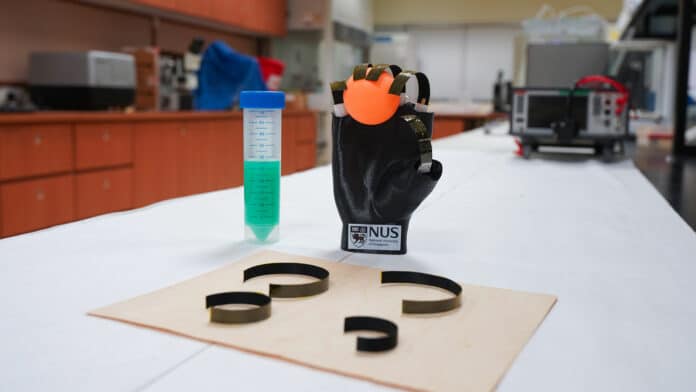 The wooden robotic gripper developed by NUS researchers can spontaneously stretch and bend itself in response to moisture, thermal and light stimulation.